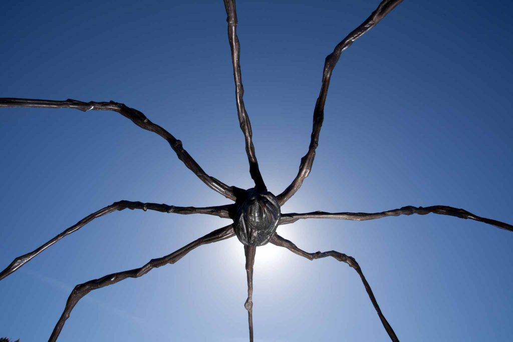 Spider by Louise Bourgeois