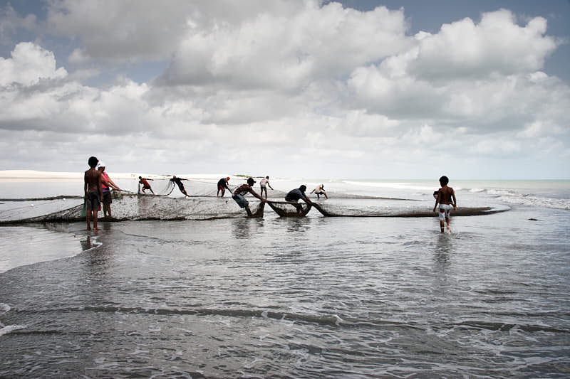 Net fishing from the beach