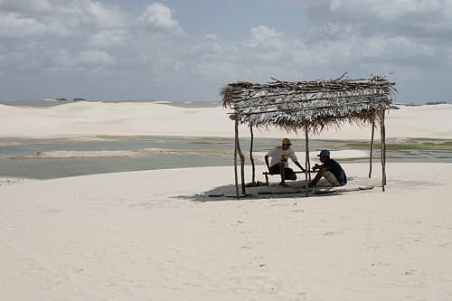 Finding shade, northeast coast of Brazil