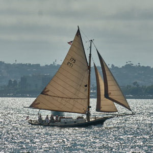 Sloop in San Diego Harbor