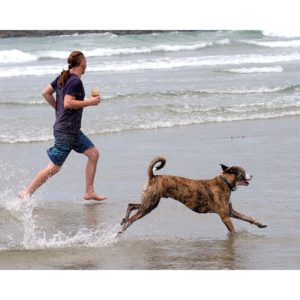 Ocean Beach, San Diego, a favorite for dogs and their owners