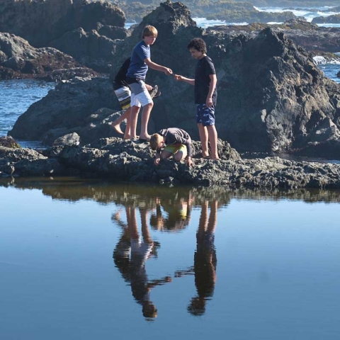 Beachcomming, Glass Beach, Fort Bragg