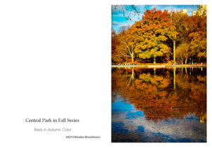 Fall on Pond card