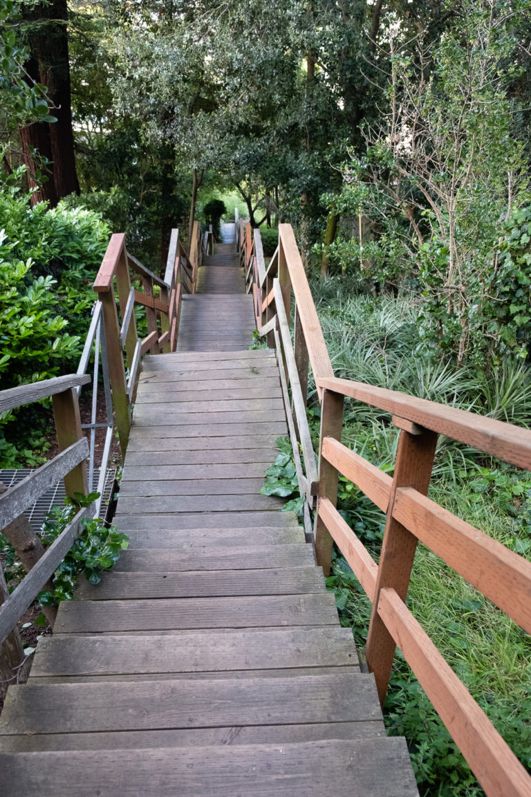 Henry street Stairs, San Francisco