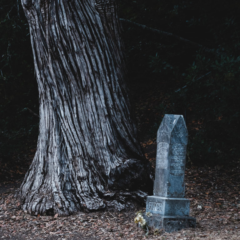Tree and grave marker, Anderson Valley Rd., Boonville, Ca